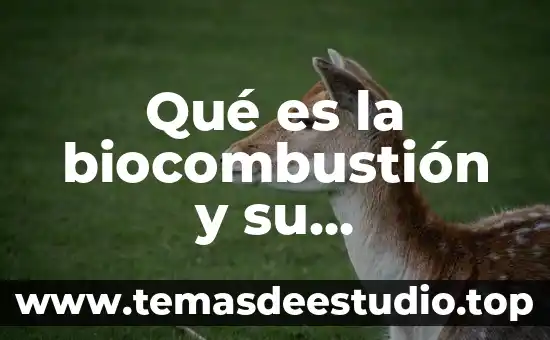 Que es el movimiento de los 45 6 Qué es la biocombustión y su importancia