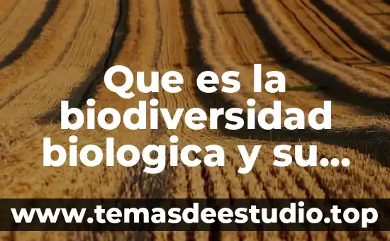 Que es biodiversidad biologica niños de primaria 8 Que es la biodiversidad biologica y su importancia