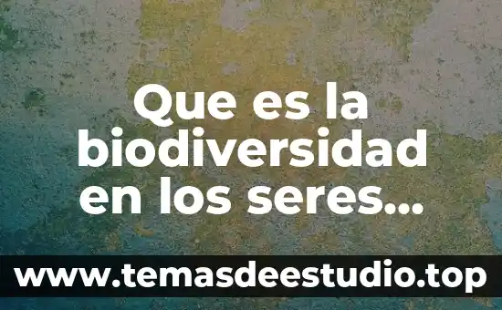 Que es biodiversidad biologica niños de primaria 3 Que es la biodiversidad en los seres humanos