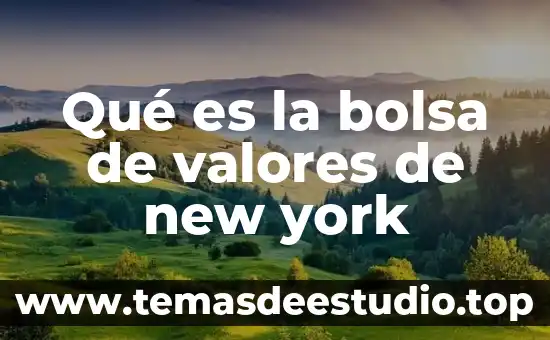 Bolsa para biblia que es el homeschooling 7 Qué es la bolsa de valores de new york