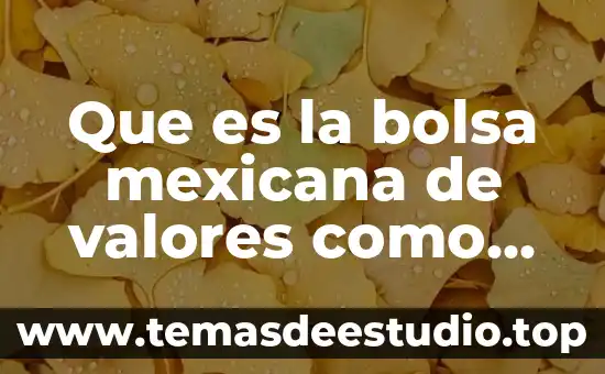 Qué es la bolsa de valores de new york 5 Que es la bolsa mexicana de valores como opera