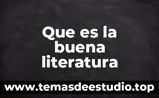 Que es la buena literatura