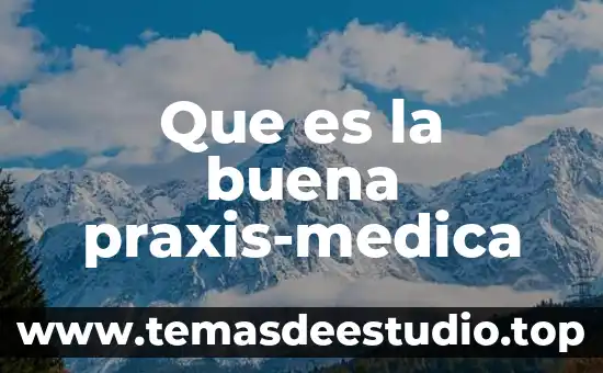Cuando les enseñas lo que es buena música de rock 4 Que es la buena praxis-medica