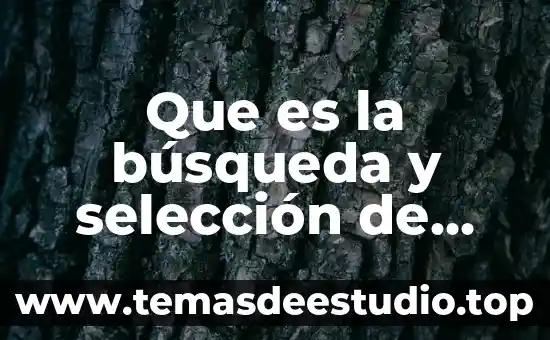 Que es la búsqueda y selección de alternativas yahoo