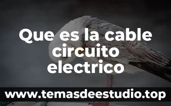 Que es la cable circuito electrico