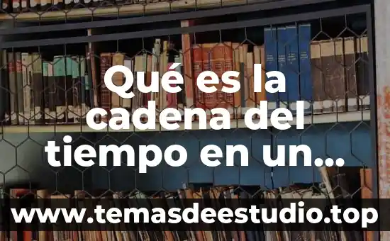 Que es la entrega de valores ala cadena de suministros 6 Qué es la cadena del tiempo en un motor