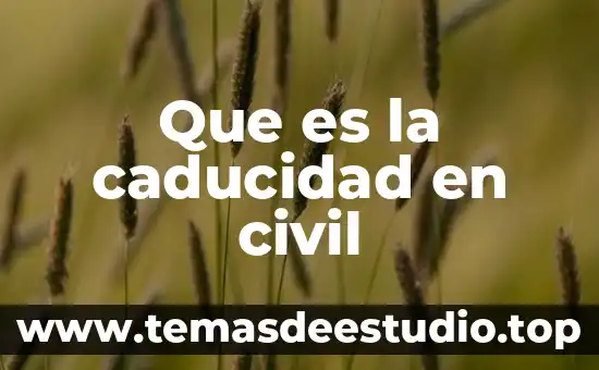 Qué es una sociedad civil Susana Dávalos 6 Que es la caducidad en civil