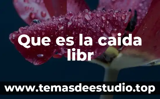 Que es y en las formulas de caida libre 4 Que es la caida libr