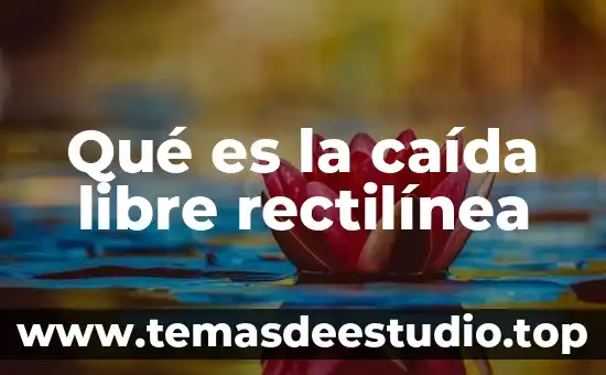 Que es y en las formulas de caida libre 3 Qué es la caída libre rectilínea