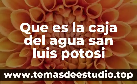 De que es la empresa magna planta san luis 8 Que es la caja del agua san luis potosi