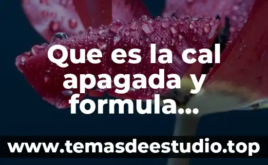 Que es la cal en quimica 3 Que es la cal apagada y formula quimica