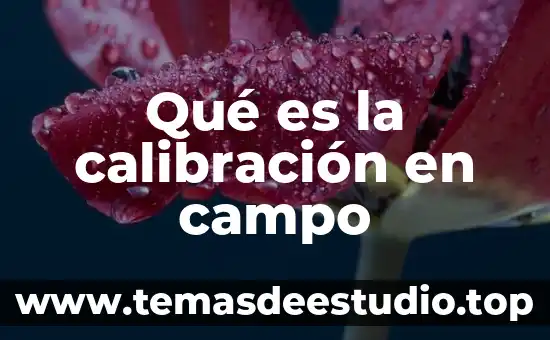 Que es el campo visual en fotografia 6 Qué es la calibración en campo