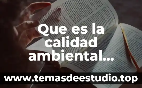 Qué es hospitalidad turística definición 3 Que es la calidad ambiental turística