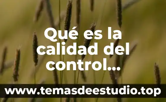 Que es el garabateo sin control 7 Qué es la calidad del control prenatal