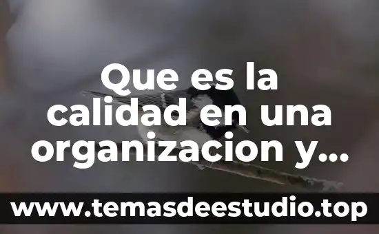 Qué es calidad de una mezcla saturada en termodinámica 3 Que es la calidad en una organizacion y su historia