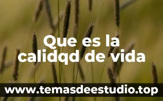 Que es el principio material de vida etica 4 Que es la calidqd de vida