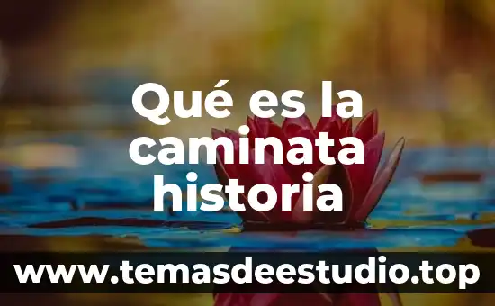 Qué es ensayo de una historia 5 Qué es la caminata historia