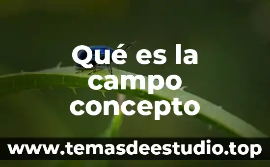 Que es fosado de la parte íntima 8 Qué es la campo concepto