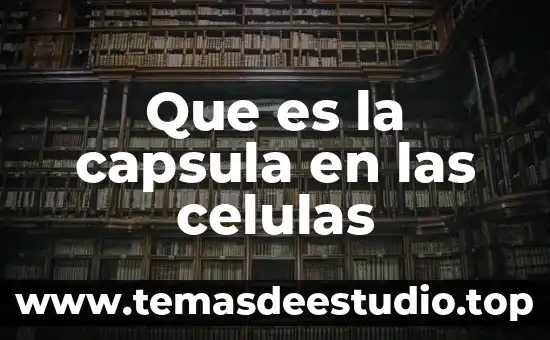 Qué es mieloma de células plasmáticas 3 Que es la capsula en las celulas
