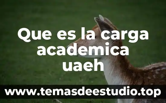 Que es una carga muerta en arquitectura 4 Que es la carga academica uaeh