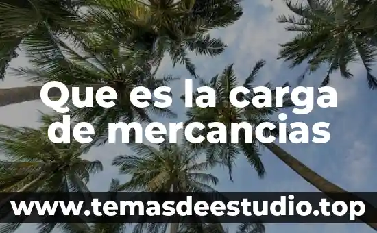 Que es la carga de mercancias