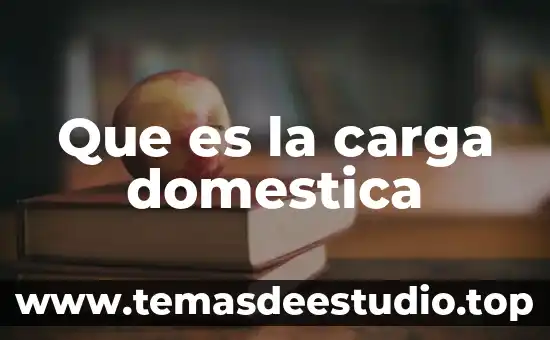 Que es la carga domestica
