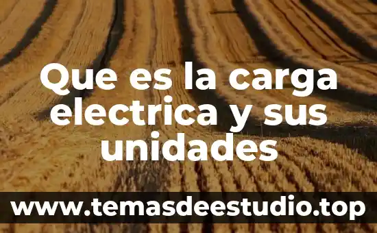Que es una planta de electrica 8 Que es la carga electrica y sus unidades