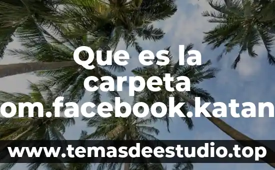 Que es familia en sociedad 7 Que es la carpeta com.facebook.katana