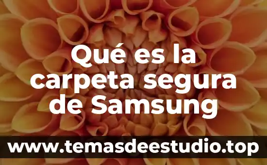 Que es una carpeta informativa 7 Qué es la carpeta segura de Samsung