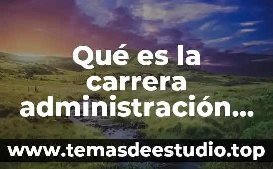 Que es un proceso industrial y artesanal en el arte 5 Qué es la carrera administración industrial