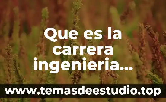 Qué es la carrera ingeniería en administración 5 Que es la carrera ingenieria ambiental