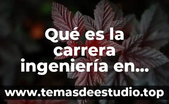 Historiadora carrera que es 8 Qué es la carrera ingeniería en administración