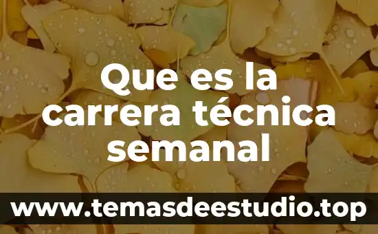 Que es costo puro 8 Que es la carrera t茅cnica semanal