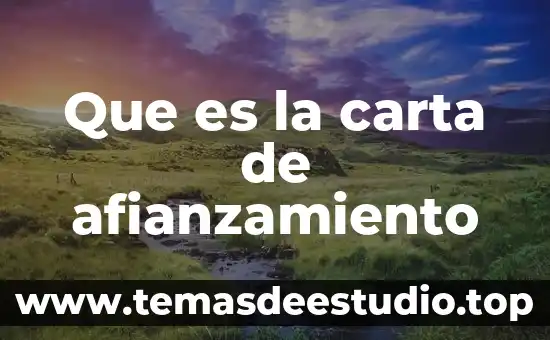 Que es un plantamiento del asunto de una carta 7 Que es la carta de afianzamiento