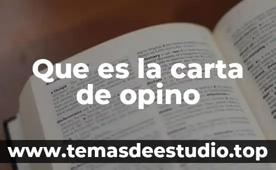 Que es factura y carta factura 7 Que es la carta de opino