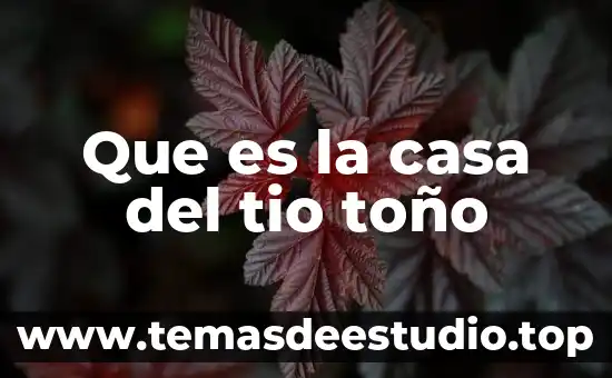 La casa de la cultura puebla que es 8 Que es la casa del tio toño