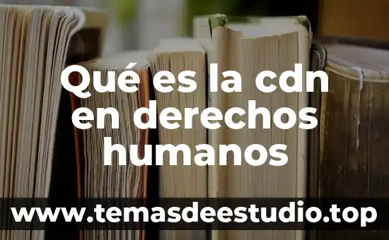 Que es el observatorio de los derechos humanos 3 Qu茅 es la cdn en derechos humanos