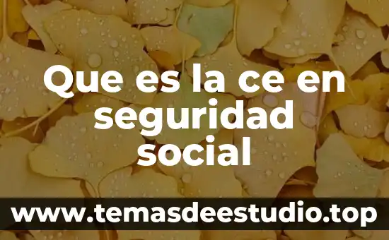 Que es movimiento social relacionado al derecho 4 Que es la ce en seguridad social
