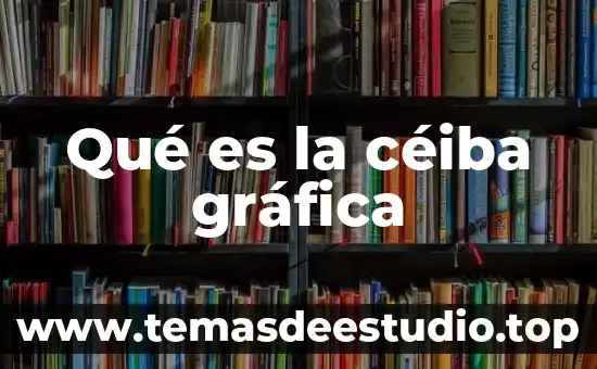 Qué es la gráfica capability sixpack 3 Qué es la céiba gráfica