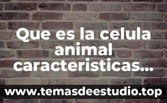 Qué es canal en producción animal 4 Que es la celula animal caracteristicas funcion