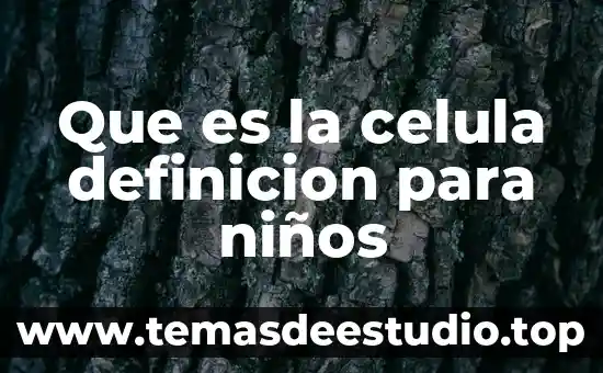 Que es el amor definición 3 Que es la celula definicion para niños