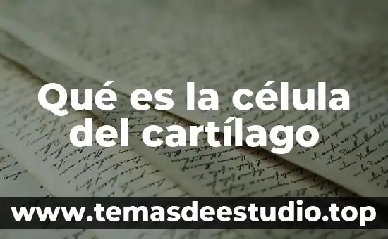 Que es un orgánulo en una célula 3 Qué es la célula del cartílago