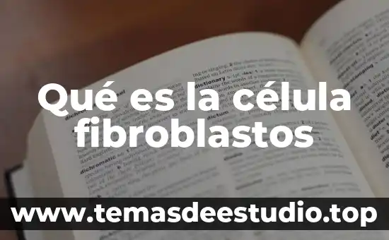 Qué es la célula fibroblastos