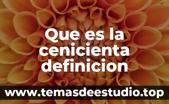 Que es la cenicienta definicion