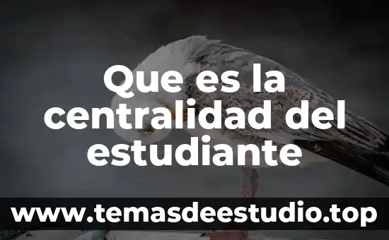 Que es sujeto del conocimiento 7 Que es la centralidad del estudiante