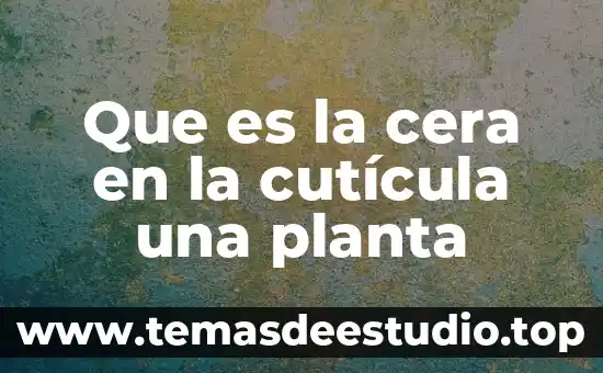 Qué es la tenacidad científica thomas 7 Que es la cera en la cutícula una planta