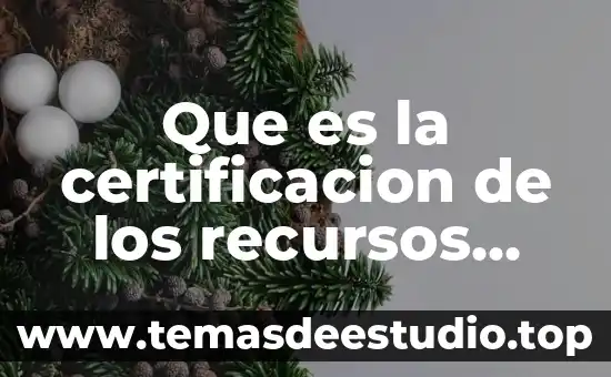 En un proyecto que es la definición de recursos 8 Que es la certificacion de los recursos humanos