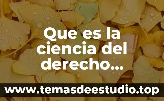Que es derecho constitucional particular 6 Que es la ciencia del derecho constitucional