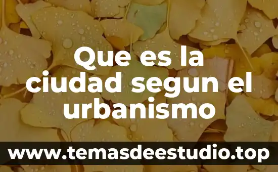 Por que es bueno saber la historia de nuestra ciudad 5 Que es la ciudad segun el urbanismo