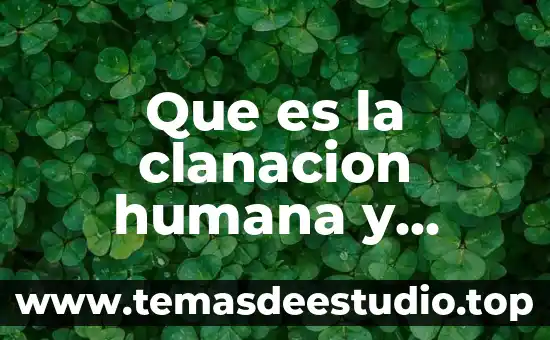 Que es la biologia de la reproduccion humana 5 Que es la clanacion humana y animal